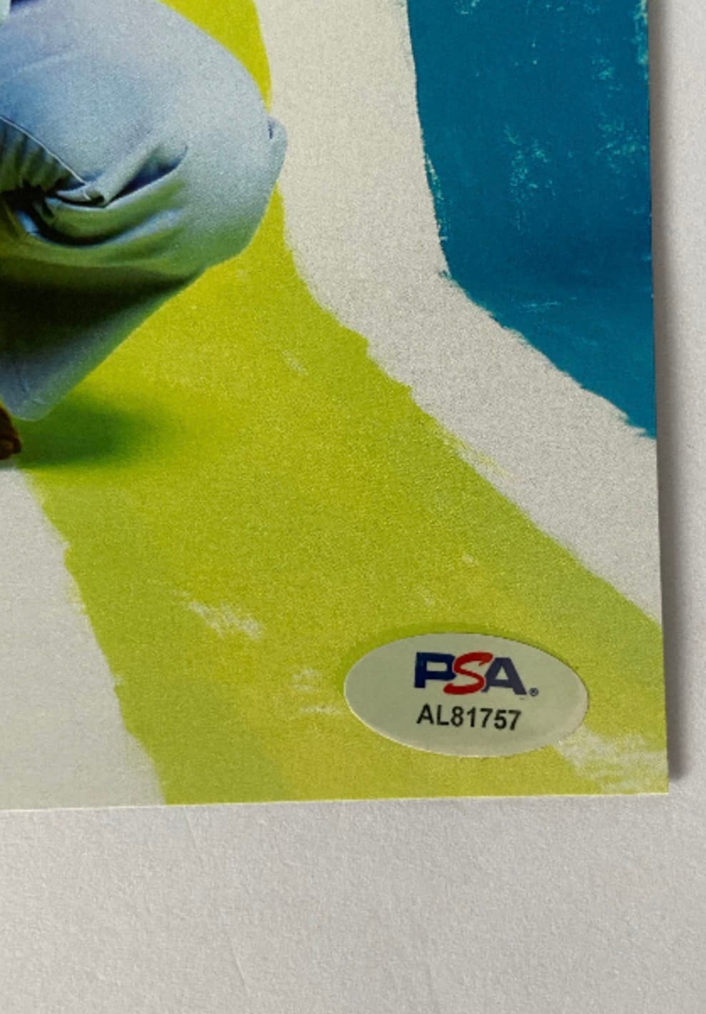 Jason Mraz signed 8x10 photo with PSA/DNA authentication 2