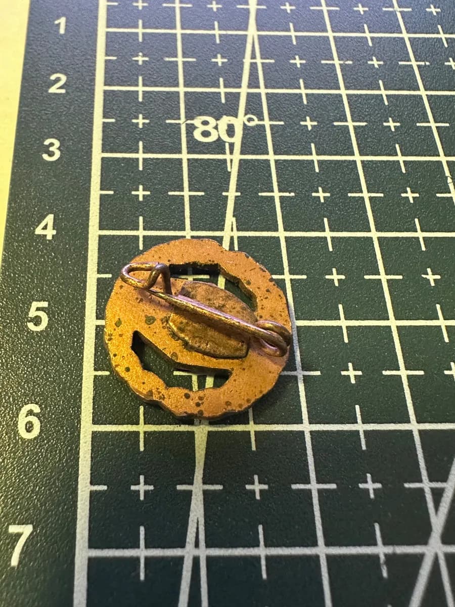 Vintage East German DTSB Sports Pin Badge 2