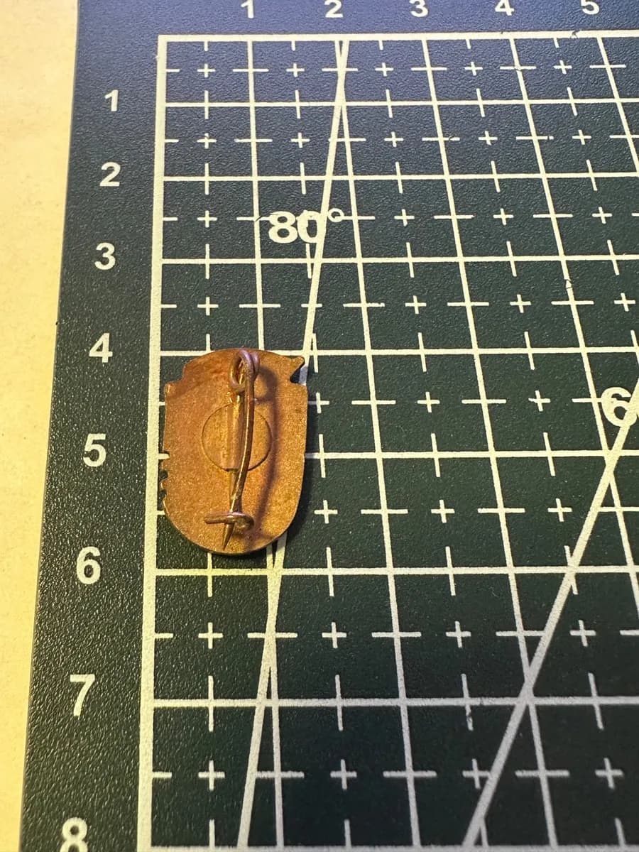 Vintage Romanian Polisportiv Grade II Pin Badge 2